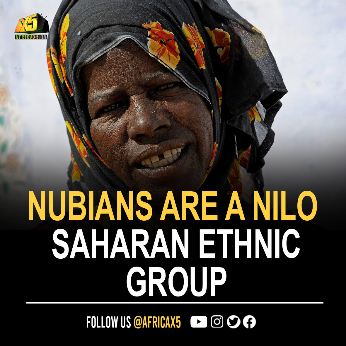 Nubians are a Nilo-Saharan ethnic group indigenous to the region which is now Northern Sudan and Southern Egypt